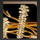 Candelabru Miracle 600, 8 surse de iluminare Candelabru Miracle 600, 8 surse de iluminare